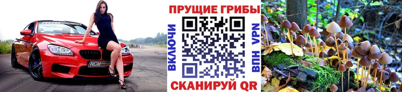 Псилоцибиновые грибы GOLDEN TEACHER  omg как войти  Советск 